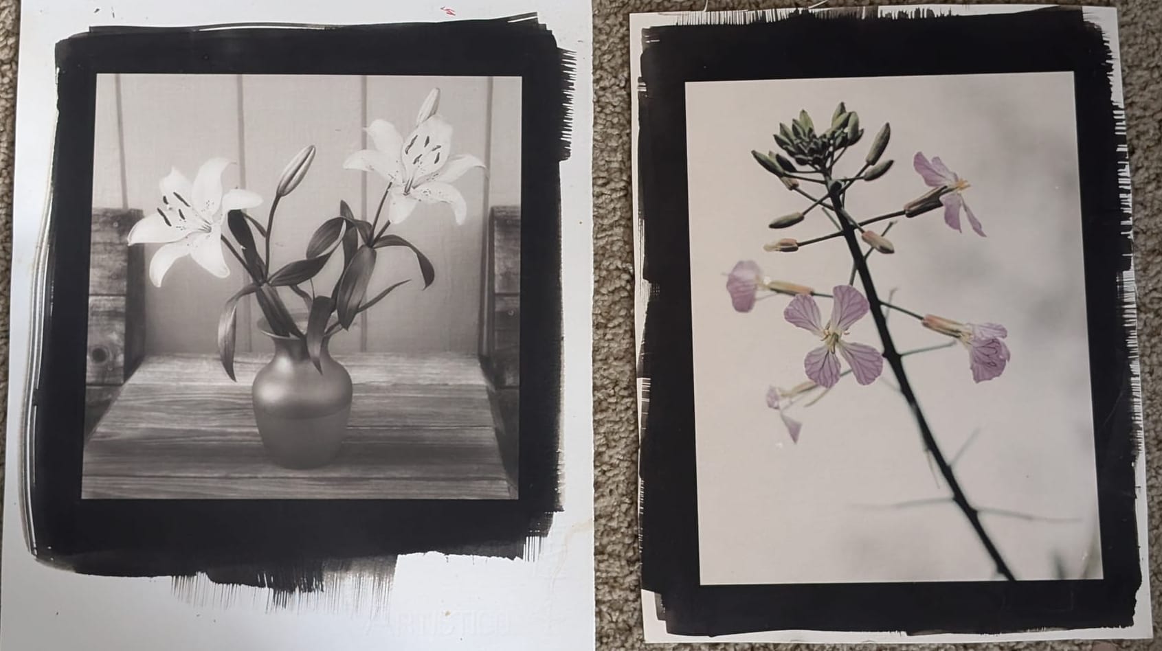 two prints, left is black and white of two flowers in a vase, right is color of a close up stem with small purple flowers